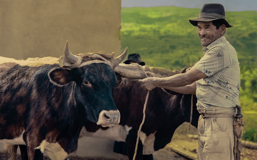 Boyaca tunja ,Colombia .,12de septiembre De 2022:Colombian peasant from Boyacá, Tunja - Colombia: Portrait of daily rural life in the Colombian Andean region