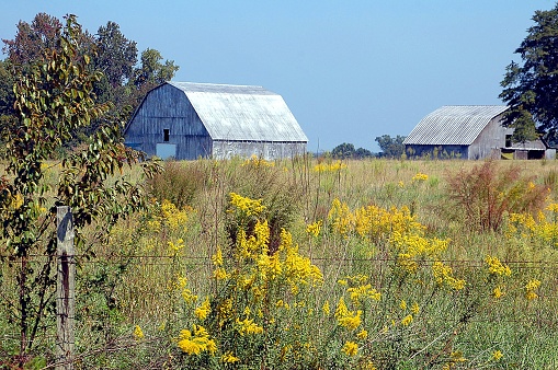 Farm barns at rural Bogart, Georgia, USA.
