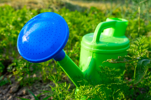 Close-up of a plastic green watering can with a blue spout standing on the ground in the garden. The concept of agriculture and horticulture