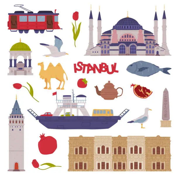 Vector illustration of Traditional Istanbul Symbols and Attribute with Mosque and Galata Tower Vector Set