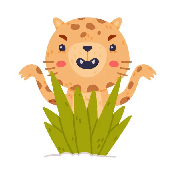 Vector illustration of Cute Little Jaguar with Spotted Fur Roaring Peeking Out From Green Grass Vector Illustration