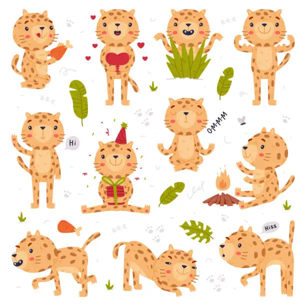 Vector illustration of Cute Little Jaguar with Spotted Fur Engaged in Different Activity Vector Set