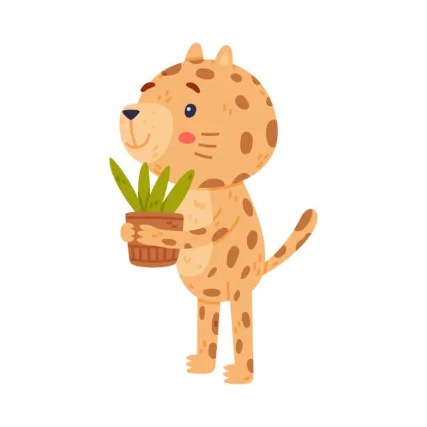 Vector illustration of Cute Little Jaguar with Spotted Fur Holding Houseplant in Pot Vector Illustration