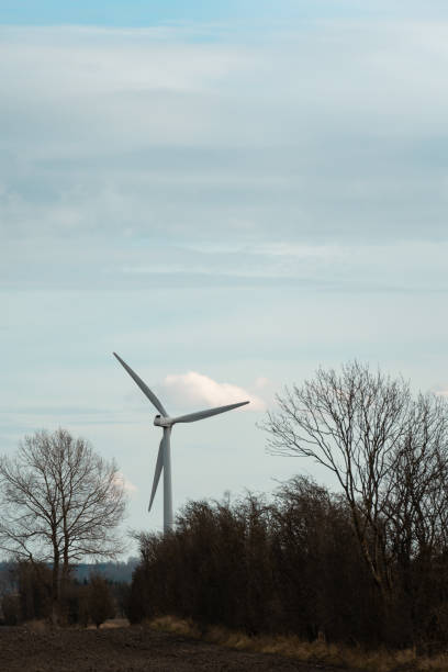 istock Single windmill standing tall in the distance framed by scandinavian spring nature. Blue sky with negative space for text. 2081560341