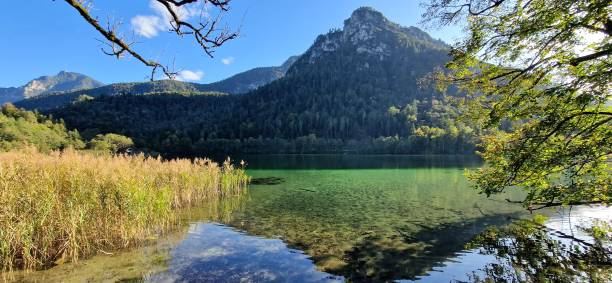 istock lake Thumsee - clear water 2081575709