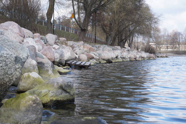 istock Scenic view of river in during spring 2081579591