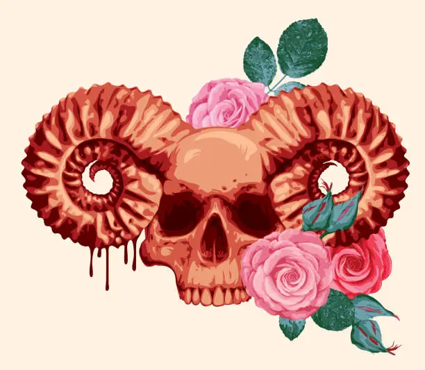 Vector illustration of human skull with ram horns and rose flowers