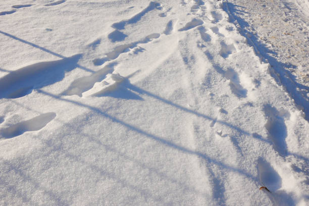 istock Road and human footprints on the snow surface. 2081604879