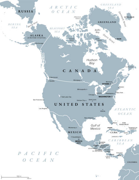 North America, continent, gray political map of Canada, USA, and Mexico North America, gray political map. Continent bordered by South America, Caribbean Sea, and by the Arctic, Atlantic and Pacific Ocean. The largest countries are Canada, the United States, and Mexico. north and central america stock illustrations