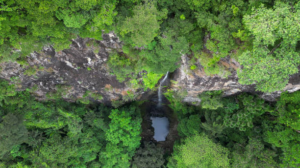 istock View from Oque Pipi waterfall, at Prince Island 2081628336