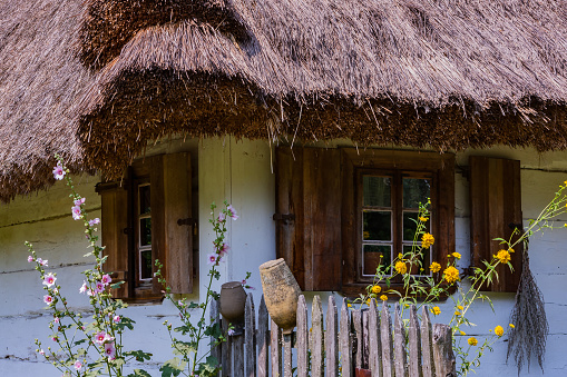 Close-up on a thatched fence.