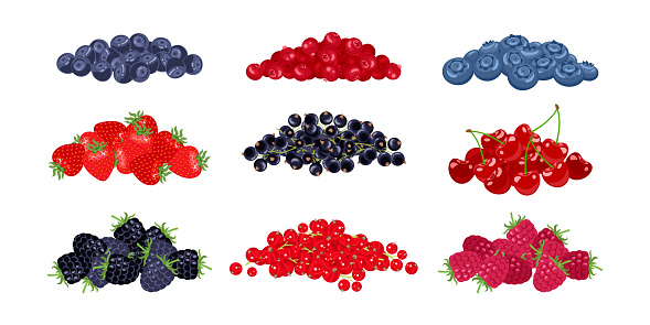 Berry collection. Heap of raspberry, strawberry, blueberry, cherry, bilberry, red currant, cranberry, black currant and blackberry. Set of vector cartoon flat illustrations.