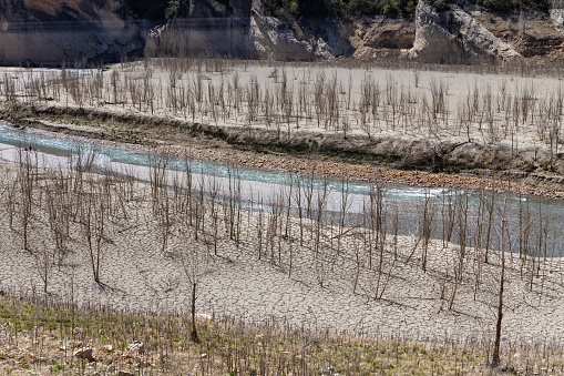 Drought in Spain, river of Congost de Mont Rebei with dry sand, low river with dry trees, global warming