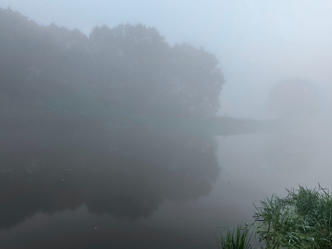 A serene natural landscape with a calm lake shrouded in fog, reflecting trees against the soft sky, creating a tranquil and atmospheric scene