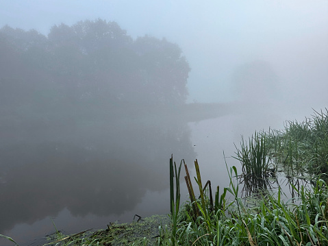 A serene natural landscape with a calm lake shrouded in fog, reflecting trees against the soft sky, creating a tranquil and atmospheric scene