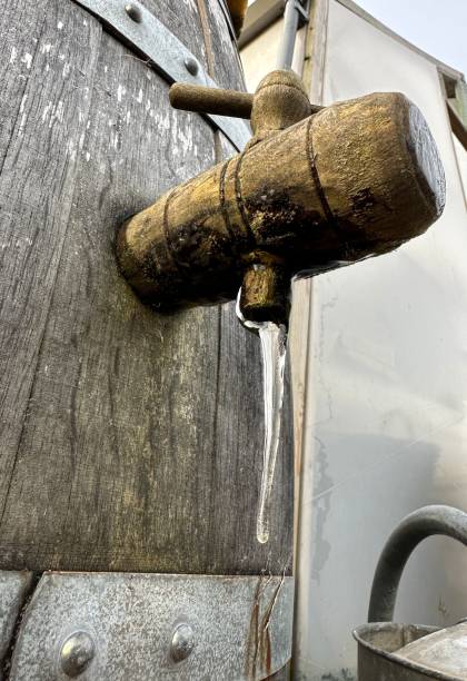 istock Old wine barrel used as rain barrel in a garden. 2081715989