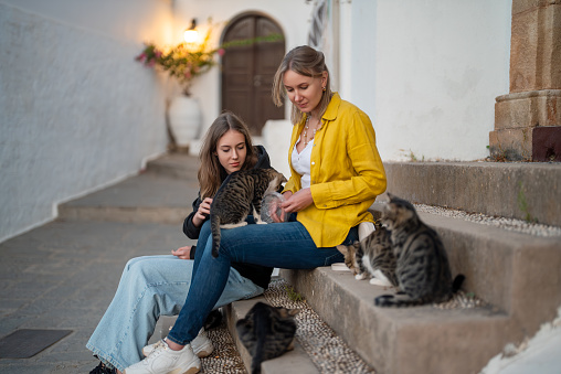 Two girls feed cats on the street.