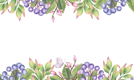 Banner frame template pink magnolia, blue berries, green leaves foliage, butterfly. Hand drawn watercolor illustration background. Botanical element for wedding invitation, save the date, greeting design.