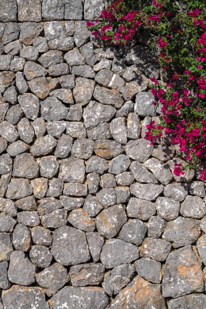 stone wall. at the top, in one corner of the fence, red flowers grow. postcard, texture, background. - corner stone wall brick imagens e fotografias de stock