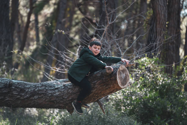 istock Boy climbing tree in woodland. 2081731542