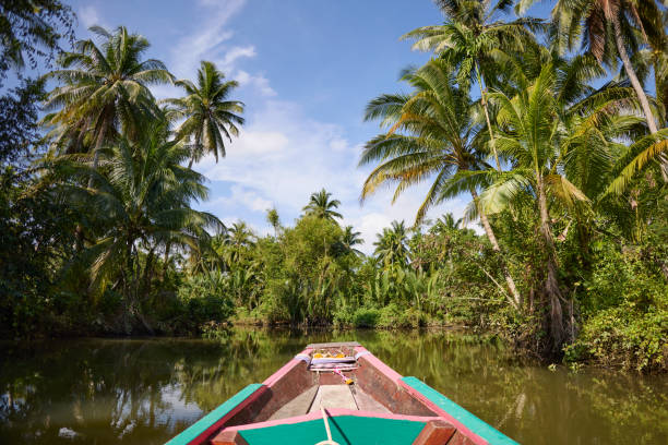 istock A longtail boat floats on a canal in Surat Thani 2081774631