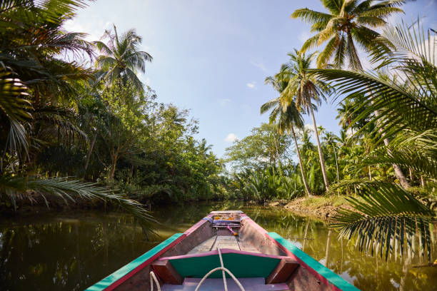 istock A longtail boat floats on a canal in Surat Thani 2081776286