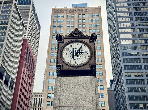 cityscape of chicago with a view of buildings in the center of the loop with a clock in the foreground