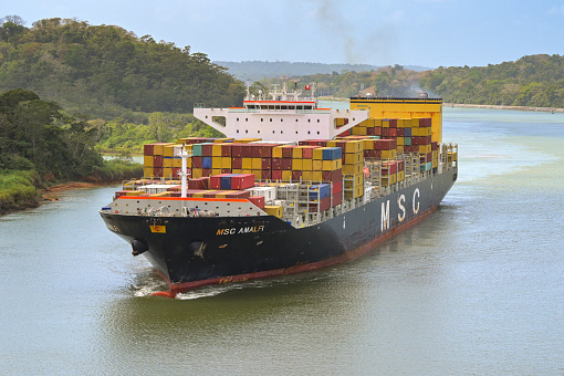Panama Canal, Panama - 23 January 2024: Container ship MSC Amalfi sailing on the Panama Canal