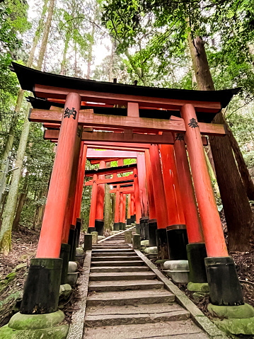 Kyoto, Japan - November 2023: Fushimi Inari Shrine in Kyoto. It’s called a shrine of a thousand gates. This spiritual place is located in one of the most beautiful cities in Japan on the mountain. Good place for hiking. Lush green foliage surrounds the shrine gates.