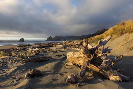 A beach with a large log on the sand. The sky is cloudy and the sun is setting