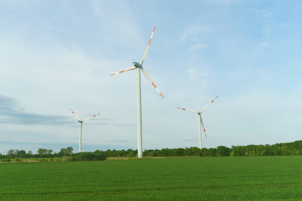 Landscape from renewable energy wind turbine with field, forest and sky.
