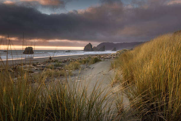 istock A beach with a rocky shoreline and a grassy area 2081836945