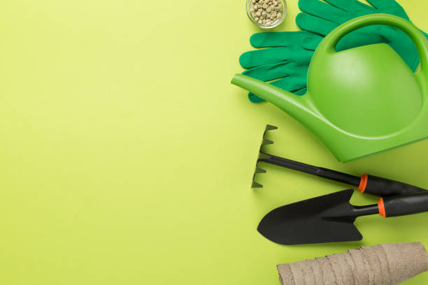 istock Green gardening tools on color background, top view 2081846075