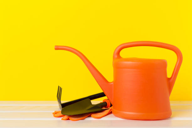 Orange gardening tools on wooden table