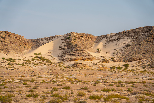 Low sandstone hill with white sand in Wahiba desert in Oman at sunset.
