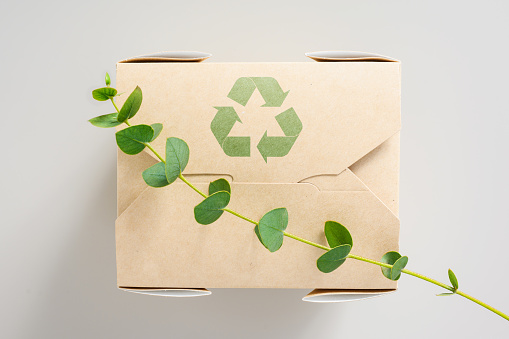 Paper food container with a recycling sign and a branch of a green plant. Eucalyptus branch on an eco-friendly cardboard box. Zero waste concept