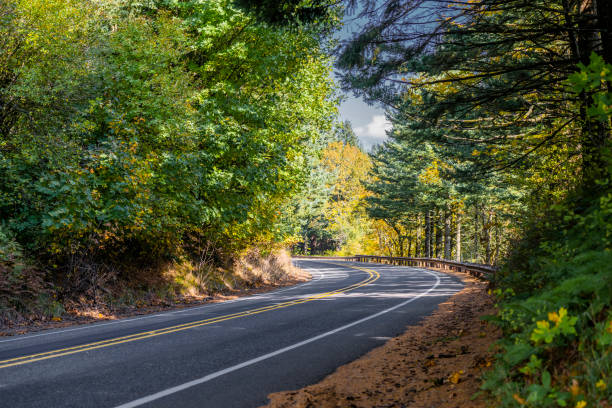 winding road in oregon