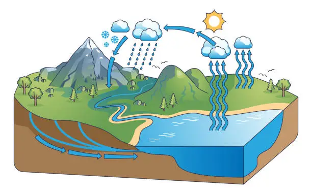 Vector illustration of Water cycle diagram with precipitation and condensation outline concept