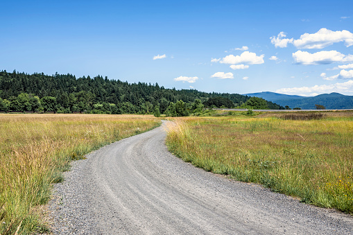 Landscape with a gorgeous winding dirt road strewed with fine gravel passing through a meadow and tucking into a hill overgrown with forest with green summer trees in Columbia River Gorge