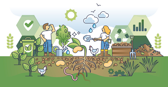 Principles of regenerative agriculture and ecological farming outline concept. Land fertility with organic compost and effective crop growth vector illustration. Green and sustainable ecosystem.