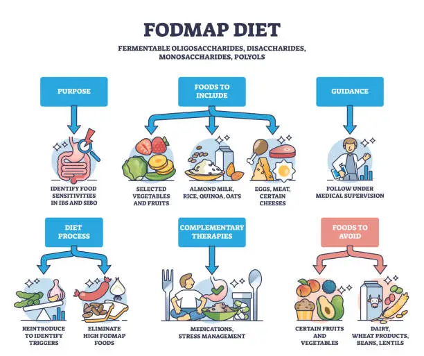 Vector illustration of Fodmap diet as recommendations for irritable bowel syndrome outline diagram