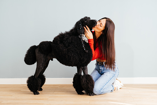A joyful moment as a lady kisses her fluffy black poodle on its nose, showcasing the bond between pets and owners.