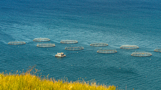 Aquafarm with round net pens for fish breeding, visible from top of a cliff. Industrial seafood production in natural environment with floating mesh constructions in wavy ocean water near coastline.