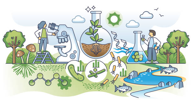 Bioremediation research for environment cleanup with microbes outline concept Bioremediation research for environment cleanup with microbes outline concept. Toxic pollution purification using natural microorganisms vector illustration. Nature protection with microbes method. bioremediation stock illustrations