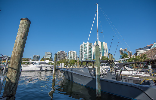 Luxury yachts by Miami marina on a sunny morning.