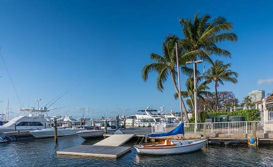 Small sailboat among luxury boats in a Miami marina on a sunny morning.