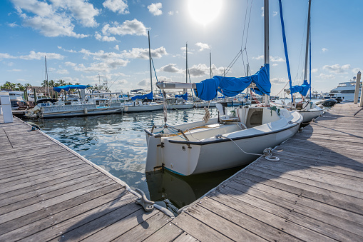 Sport sailboats with blue sails in a Miami marina.