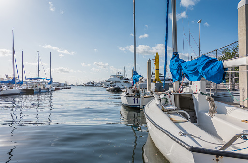 Sport sailboats with blue sails in a Miami marina.
