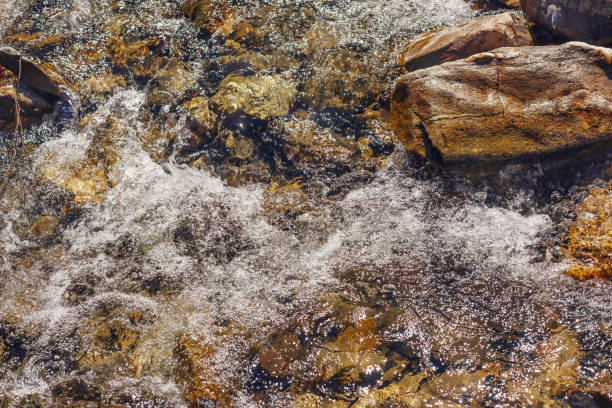 shallow mountain river with a fast flow and stones on the bank