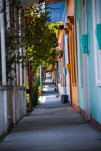 It is a long street and the most famous one in the town of Pica, in Chile.